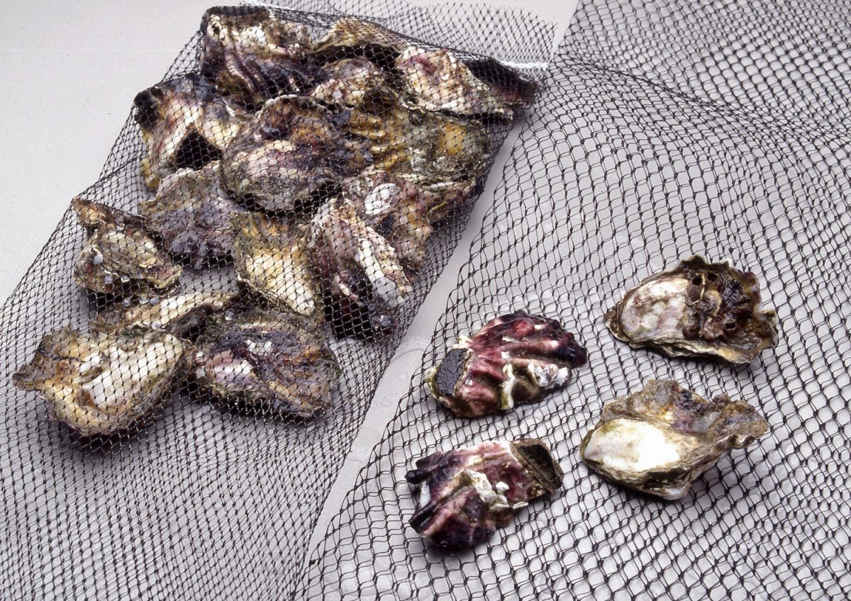 Oyster Bags Venus Packaging