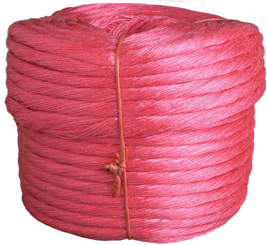 tomatotwinered Venus Packaging