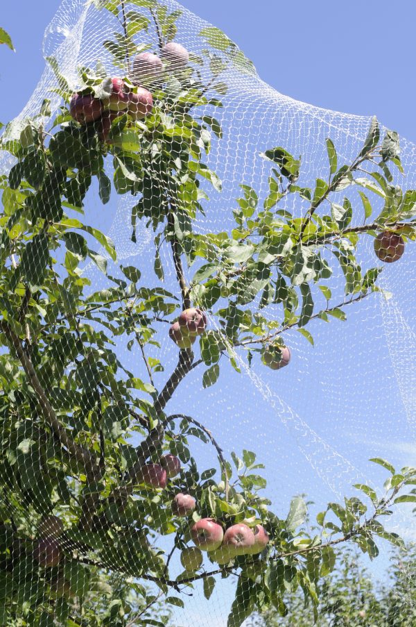 Fruit tree Netting Venus Packaging